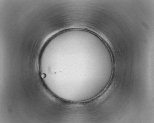 X0000115690838200911121006