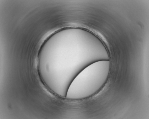 X0000115690839200911121006
