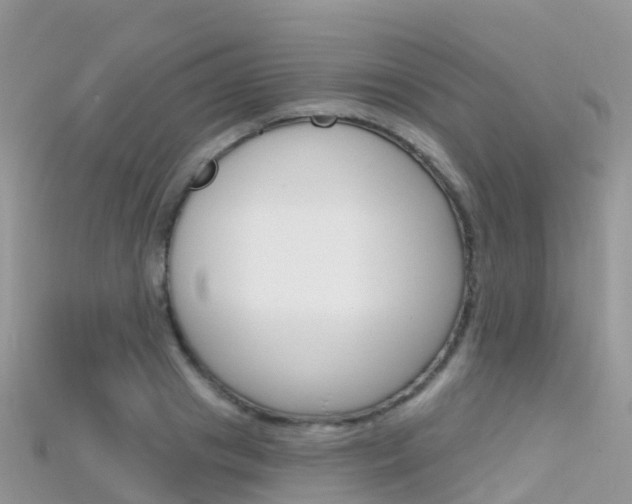 X0000115690841200911121006