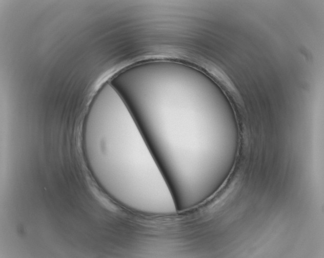 X0000115690842200911121006