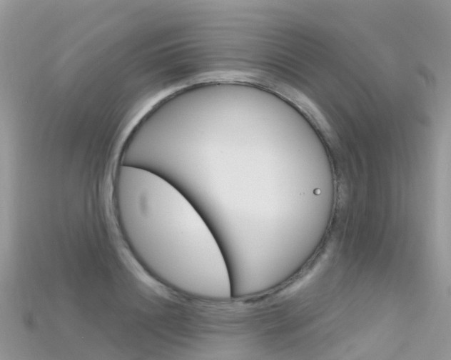 X0000115690844200911121006
