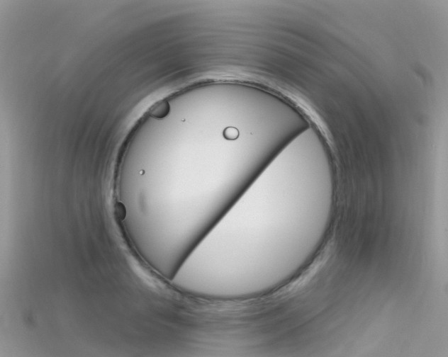 X0000115690845200911121006