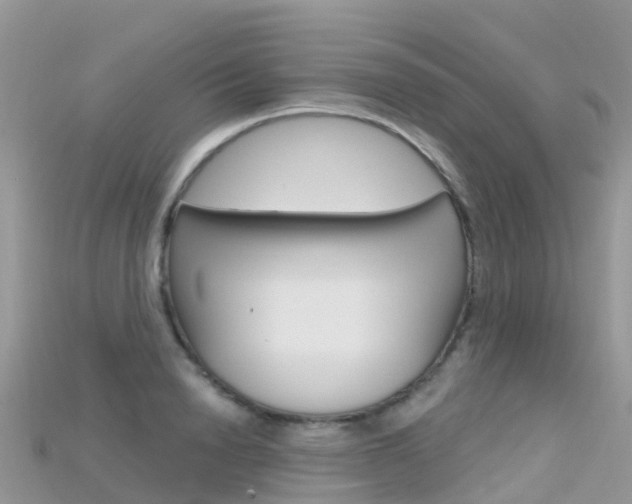 X0000115690846200911121006