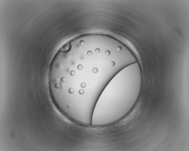 X0000115690847200911121006