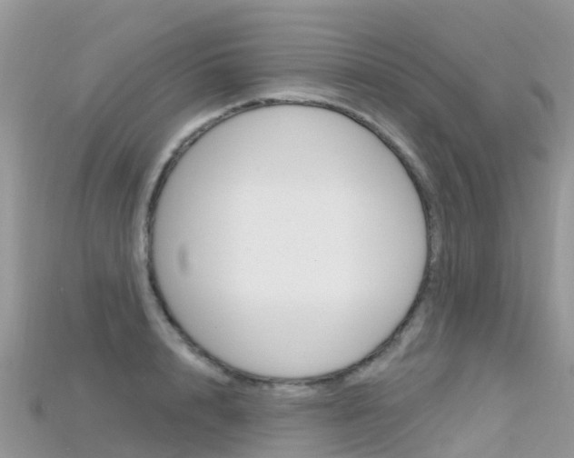 X0000115690848200911121006