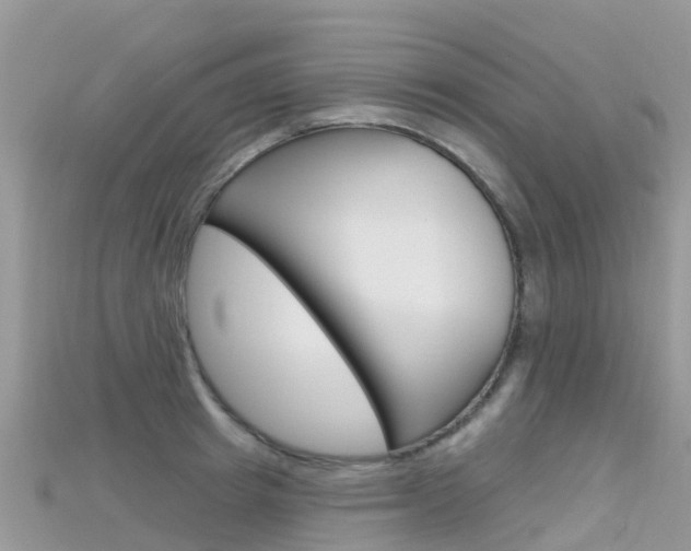 X0000115690849200911121006