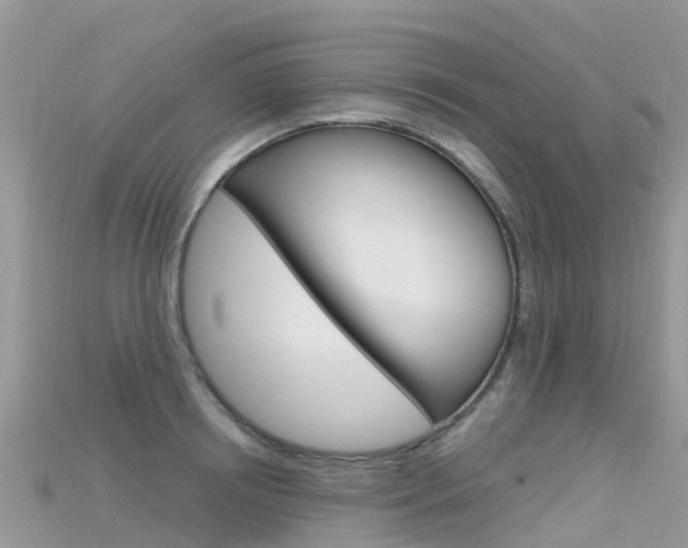 X0000115690850200911121006