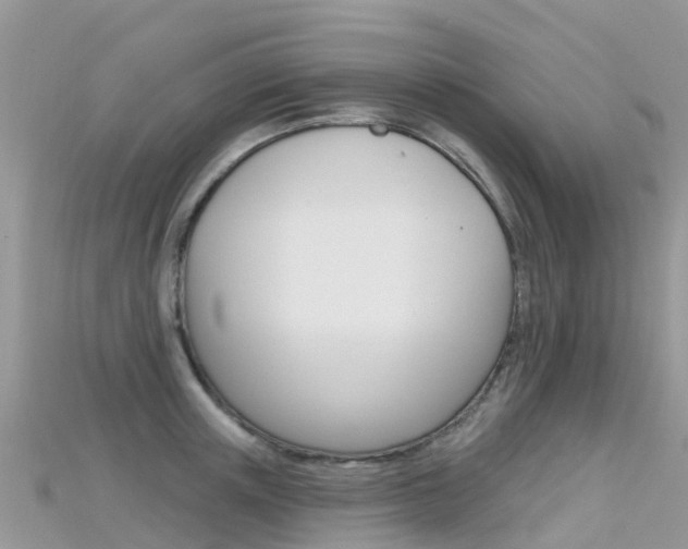 X0000115690851200911121006