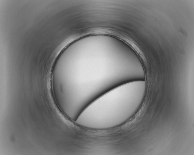 X0000115690853200911121006