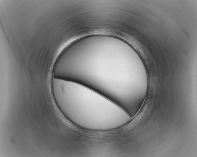 X0000115690854200911121006