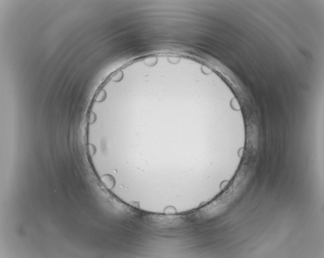 X0000115690856200911121006