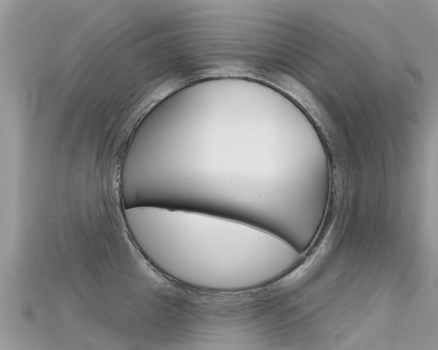 X0000115690857200911121006
