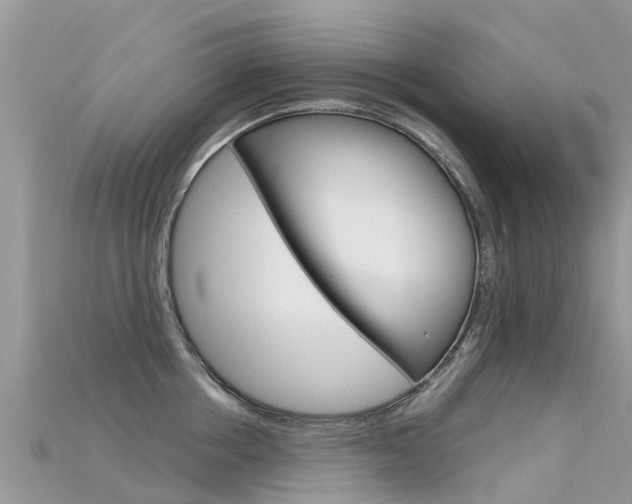 X0000115690858200911121006