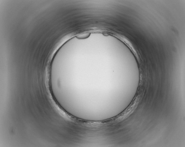 X0000115690859200911121006