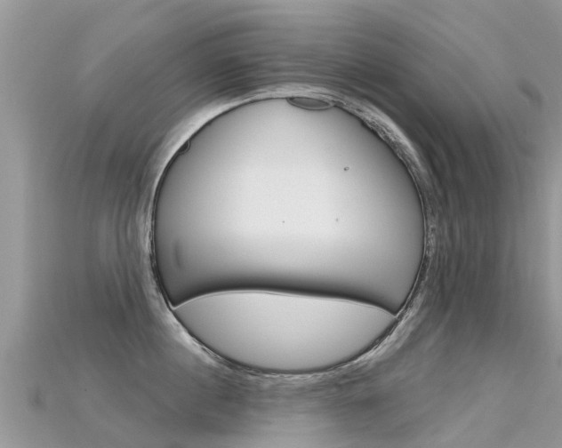 X0000115690860200911121006