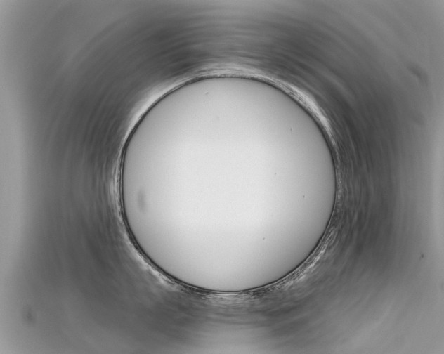 X0000115690863200911121006
