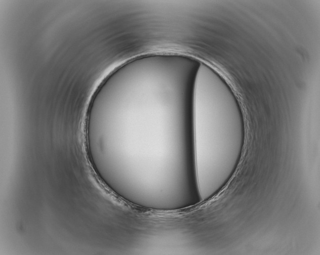 X0000115690864200911121006