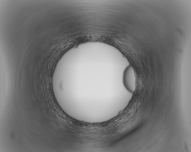 X0000115690865200911121005
