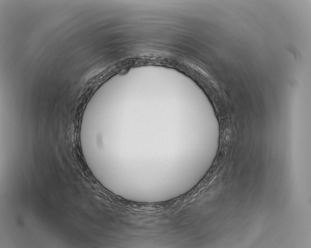 X0000115690869200911121005