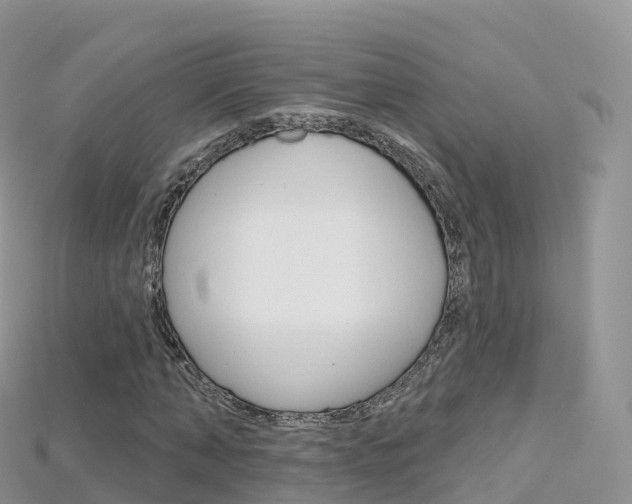 X0000115690870200911121005