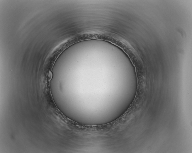 X0000115690872200911121005