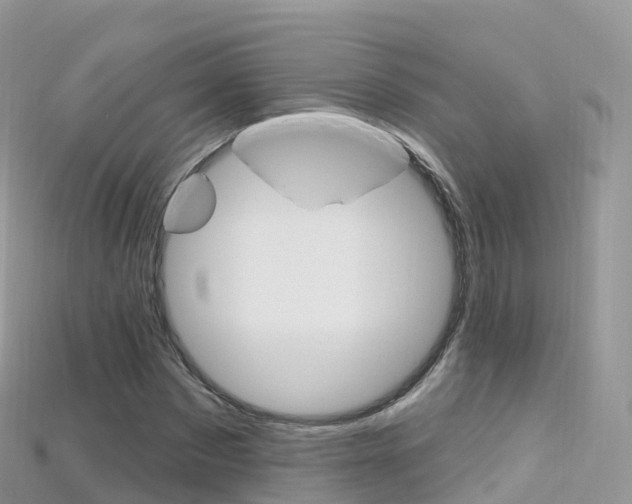 X0000115690873200911121005