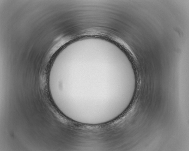 X0000115690874200911121005
