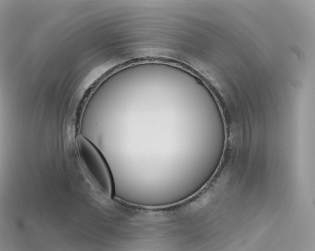 X0000115690877200911121005