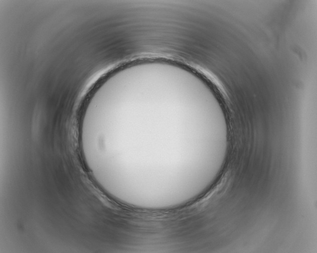 X0000115690878200911121005