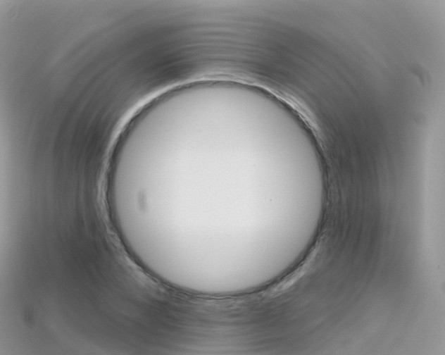 X0000115690880200911121005