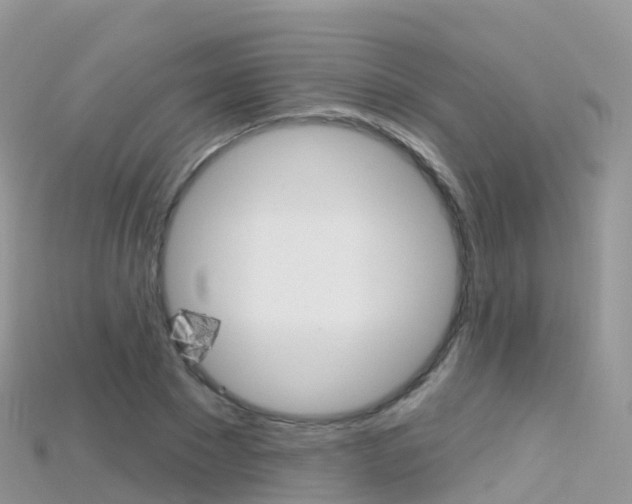 X0000115690881200911121005
