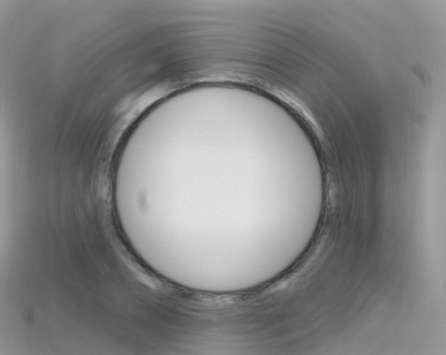 X0000115690882200911121005