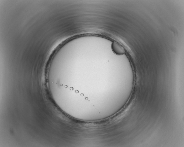 X0000115690883200911121005
