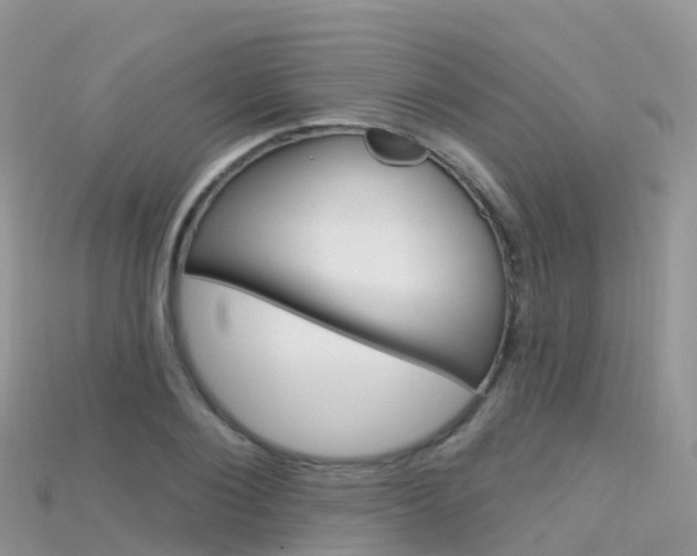 X0000115690884200911121005