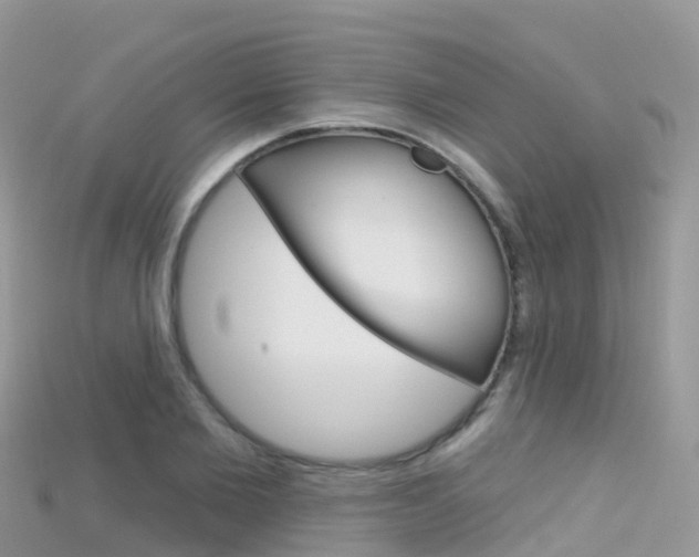 X0000115690885200911121005