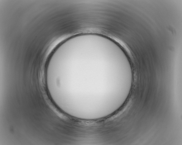 X0000115690886200911121005