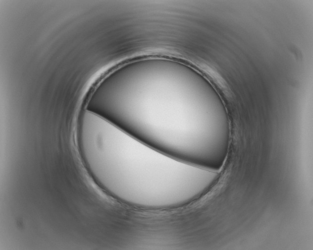 X0000115690888200911121005