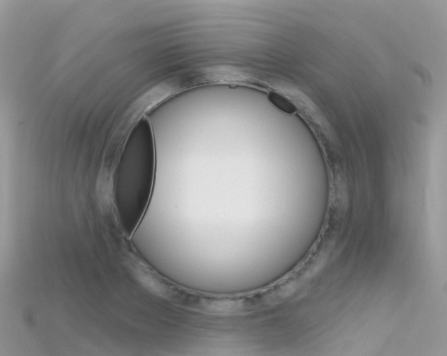 X0000115690889200911121005