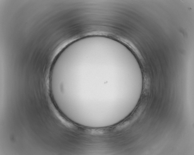 X0000115690890200911121005