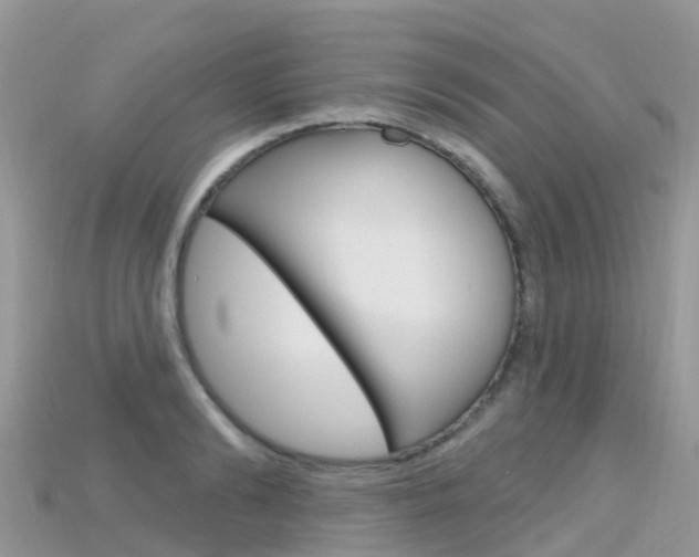X0000115690894200911121005