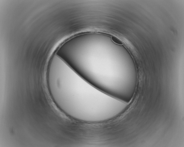 X0000115690896200911121005