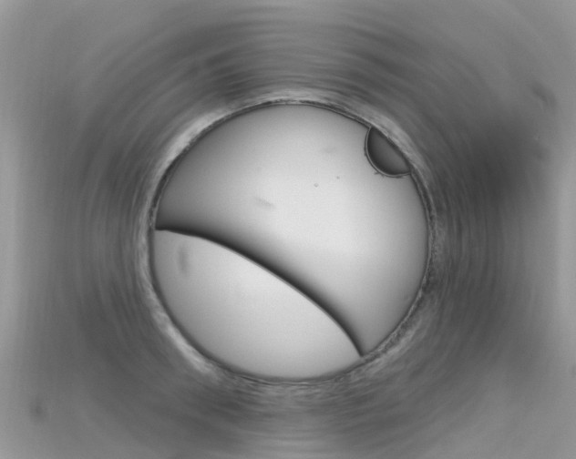 X0000115690898200911121005
