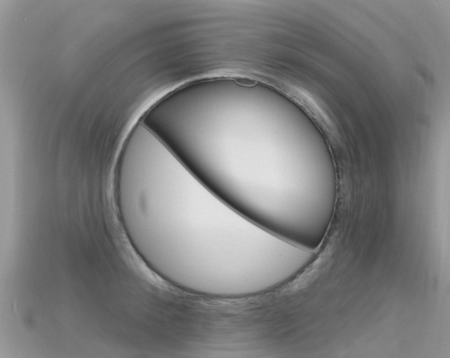 X0000115690900200911121005