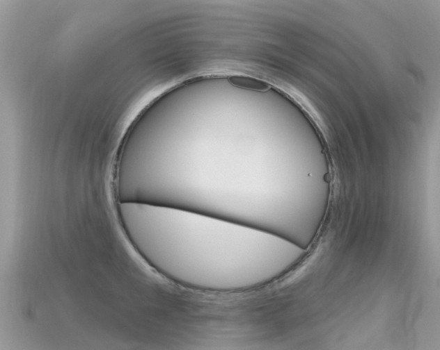 X0000115690901200911121005