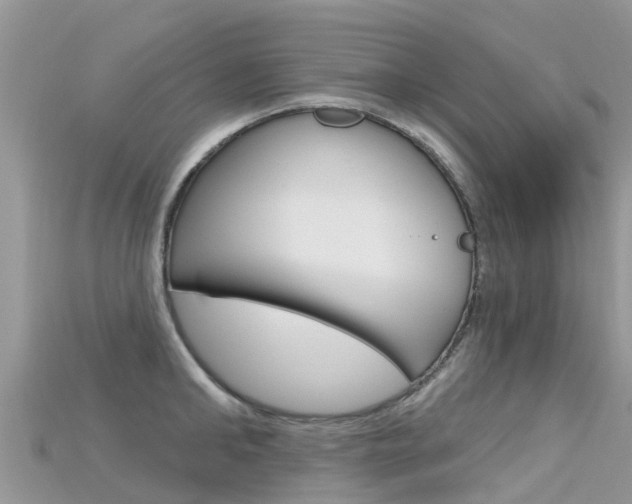 X0000115690902200911121005