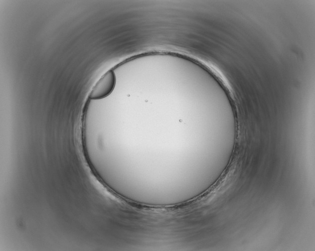 X0000115690903200911121005