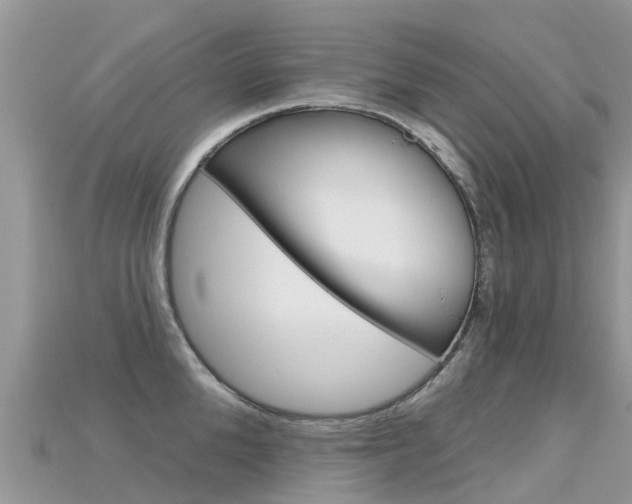 X0000115690904200911121005