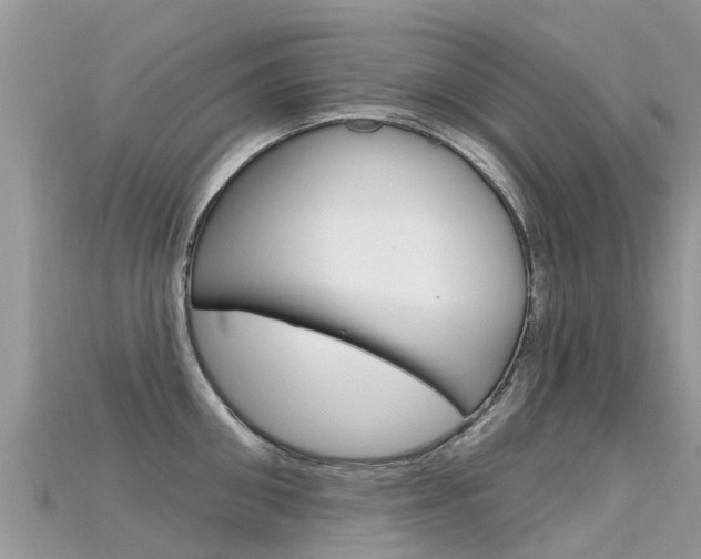 X0000115690906200911121005