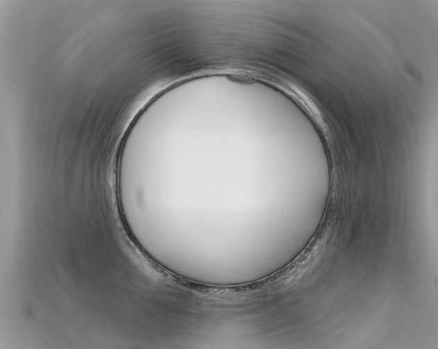 X0000115690907200911121005