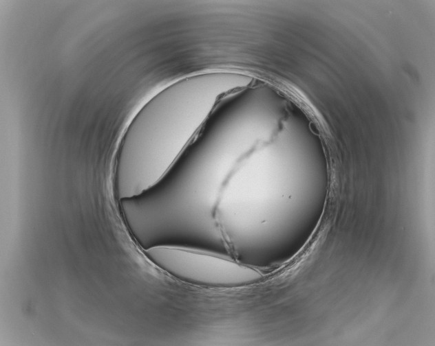 X0000115690908200911121005